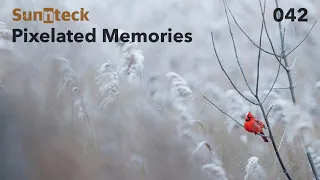 Sunnteck - Pixelated Memories 042