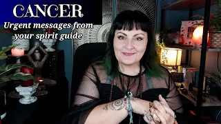 Cancer "Spoiler" the universe is guiding you to the life of your dreams  - tarot reading