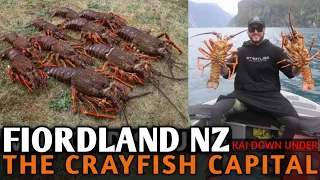 CRAYFISH/LOBSTER PARADISE - Milford Sound, overnight diving adventure