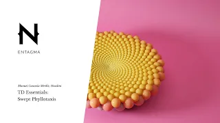 TD Essentials: Create a Swept Phyllotaxis Operator in Houdini