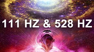 Regenerative Spiritual Reset, 111 Hz, 528 Hz, Releases Toxic Negativity, Heals Body and Mind