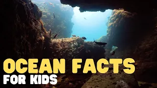 Ocean Facts for Kids | Learn interesting facts about the world's largest pool!