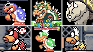 SUPER MARIO ADVANCE 2 - All Bosses (As Mario)