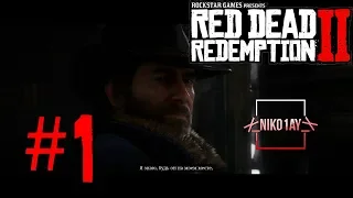 Red Dead Redemption 2 прохождение #1 [без комментариев]
