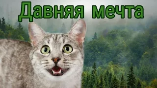 Коты-Воители 1 серия"Давняя мечта"