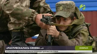 В Ноябрьске проходят учебно-тренировочные сборы для юношей «Десантный взвод»