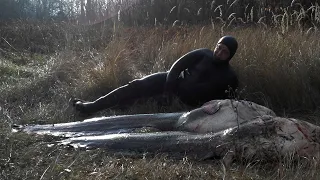 Подводная охота на СОМА (Spearfishing for Catfish)