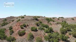 Panther Canyon Ranch: Aspermont, TX