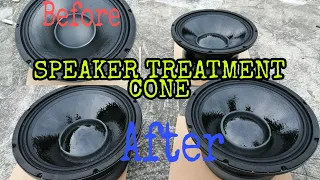 SPEAKER TREATMENT CONE