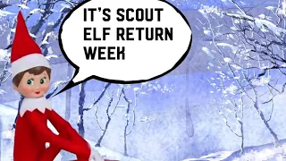 Scout elf return week !