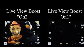 Olympus Tutorial: "Live View Boost" On1 & On2 explained - See in the dark! ep.56