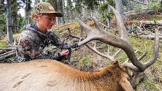 Public Land Bull Down! | Montana Archery Elk With Marcus and Kara