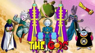 Dragon Ball GODS HIERARCHY Explained! | History of Dragon Ball