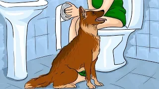 Вот Почему Собака Ходит за Вами в Туалет