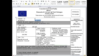 Заполнениние анкеты на Шенгенскую визу на примере Италии 2017 год