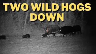 Hunting Wild Hogs With Night Vision and Thermals | Wild Hog Hunting in South Carolina