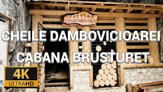 4K | Cheile Dambovicioarei - Cabana Brusturet