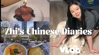 Chinese vlog| Learn Chinese| Puppy Jersey’s 2nd birthday, lunchtime stroll & Friday seafood dinner