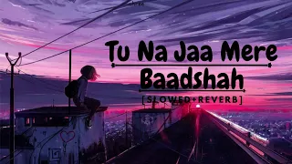 Tu Na Jaa Mere Baadshah |slowed+reverb | shivrajslowed