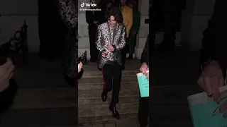 Timothee Chalamet Being Drunk TikTok: tinyhorseboy