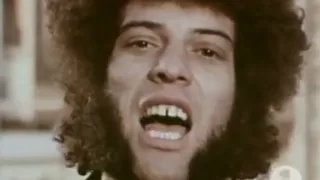 Mungo Jerry - In the summertime