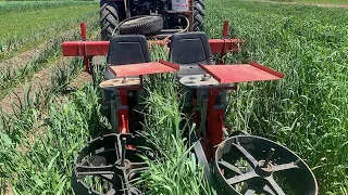 Large Scale No-Till Vegetable Production (from the EFAO Conference 2021)