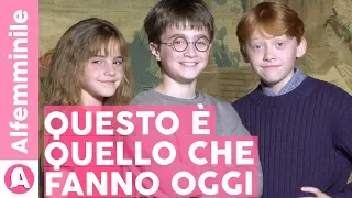 Harry Potter: cosa stanno facendo gli attori oggi? ⚡️🧙‍♀️| ALFEMMINILE