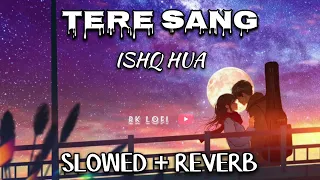 Tere Sang Ishq Hua | Slowed + Reverb | Arijit Singh, Neeti Mohan | Yodha | RK LOFI