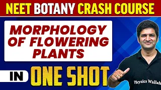 MORPHOLOGY OF FLOWERING PLANTS in 1 Shot : All Concepts, Tricks & PYQs |  NEET Crash Course | UMMEED