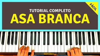 Asa Branca no teclado ou piano | Fácil e Simples