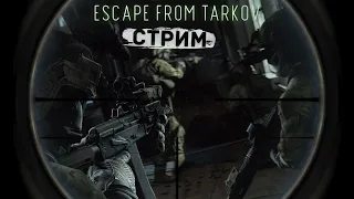 ТАРКОВ СТРИМ #561 | ESCAPE FROM TARKOV [1440p]