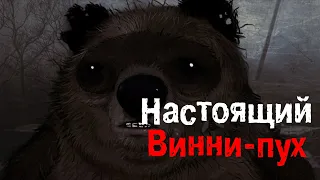 Жуткая правда Винни - Пуха..