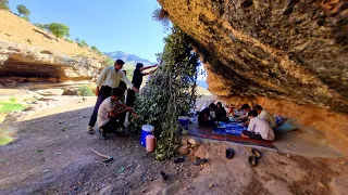 Building a shelter under a cave with an oak tree