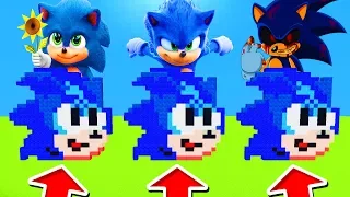 Minecraft PE : DO NOT CHOOSE THE WRONG SONIC! (Baby Sonic, Sonic & Sonic.EXE)