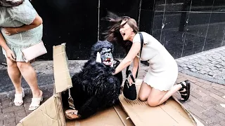 Ultimate Best of Gorilla & Pennywise Prank Compilation for 2023!