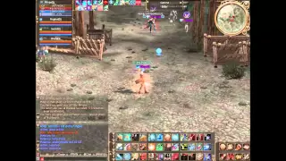 MingoDj PvP Hero Eva Templar 80 Lineage 2 Infinity