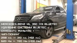 Удаление системы BlueTEC, сажевого фильтра, отключение ЕГР и чип-тюнинг на Mercedes-Benz ML 350 CDI