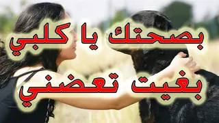 اغنية عن غدر الصديق شيخ شعيب بصحتك يا كلبي بغيت تعضني