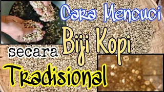 cara mencuci biji kopi secara tradisional dan cara penjemurannya sebelum proses sangrai/roasting