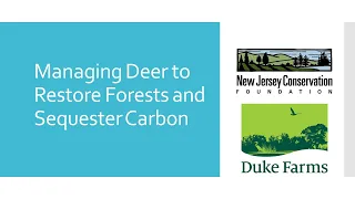 Managing Deer to Restore Forests and Sequester Carbon