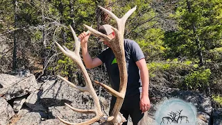 Finding Elk Sheds and Dead Heads 2019 - Stuck N the Rut