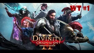 Divinity: Original Sin 2 - Definitive Edition | Первый взгляд | Прохождение №1