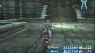 Final Fantasy XII - Negalmuur Auto-leveling Guide