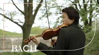 Musicians on Bach St Matthew Passion BWV 244 | Netherlands Bach Society