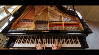 ABBA - Chiquitita final part (TOP piano view)