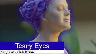 Katy Perry - Teary Eyes Katy Cats Club Remix (visualizer)