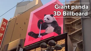 【Giant panda③】3D Big screen Billboard Japan in Shibuya Tokyo 【渋谷の3Dビジョン】