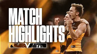 Hawthorn v Collingwood | Match Highlights - Round 21, 2023