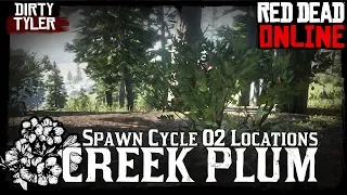 Creek Plum Locations Red Dead Online Collectors Item RDR2 Spawn Cycle 2