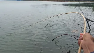 Usando minhoca era um atrás do outro só os maiores Pescaria e Peixe frito Rio Grande